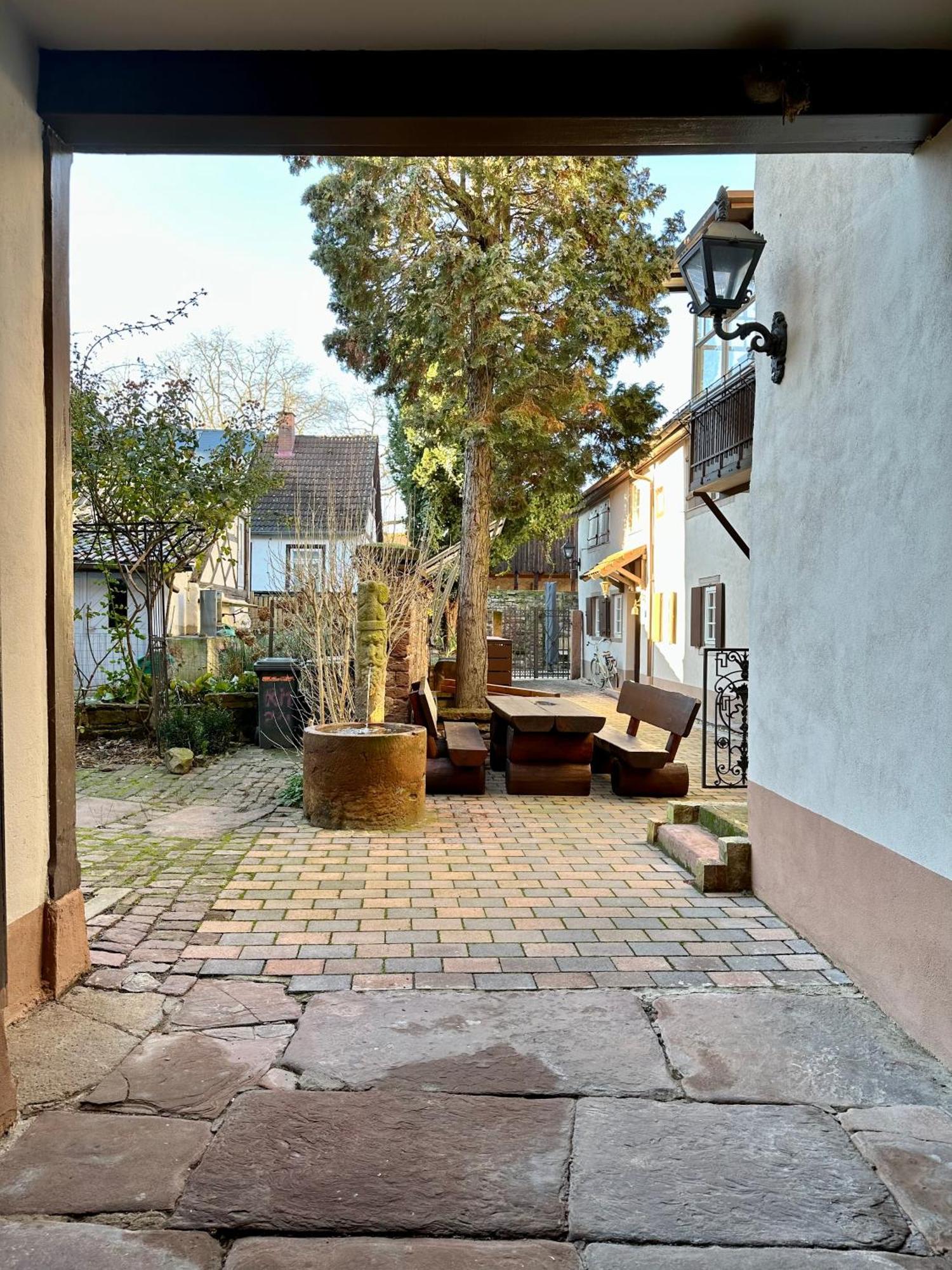 Exklusives Haus, Ruhig Gelegen Im Innenhof, Zentral, Lichtdurchflutet Zustellbett,Babybett Bei Bedarf Karlsruhe Bagian luar foto